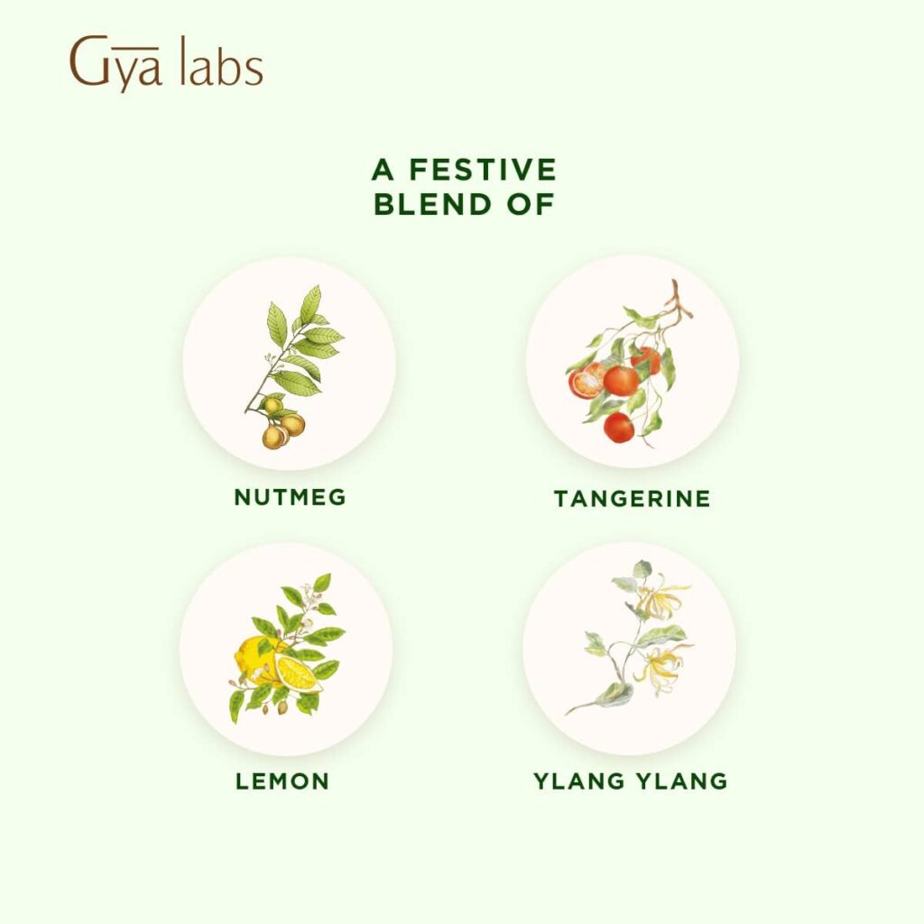 Gya Labs Happy Holiday Essential Oil Blend (0.34 fl oz) - Comforting  Uplifting, Perfect for Festive Season