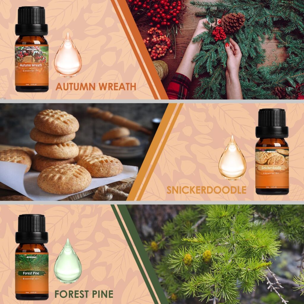 Autumn Fragrance Oil Set, ARVIDSSON Fall Essential Oils Gift Set - Pumpkin Spice, Cinnamon, Spiced Cider, Snickerdoodle, Autumn Wreath, Forest Pine