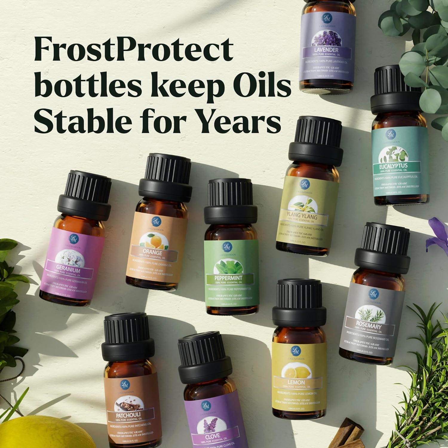 Essential Oils Set – A Detailed Review