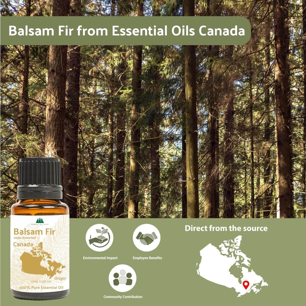 Nature Packaged Balsam Fir Essential Oil (2lbs) - Direct from Our Farm Partner in Canada - Essential Oils for Home, Humidifier, or Aromatherapy | Pure Therapeutic Grade