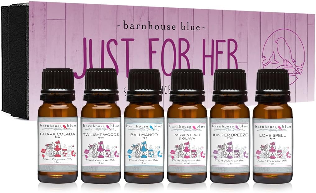 Vacation Getaway Premium Grade Fragrance Oil - Gift Set 6/10ml Bottles - Island Hop, Instant Vacation, Aspen Winter, Woodland Bay, Enchanted Orchid, Frangipani